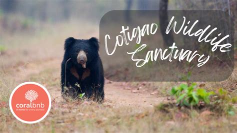 top   visit places  south goa