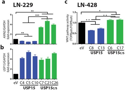 USP15 Exerts An Inhibitory Effect On WNT Pathway Activity In GBM Cell