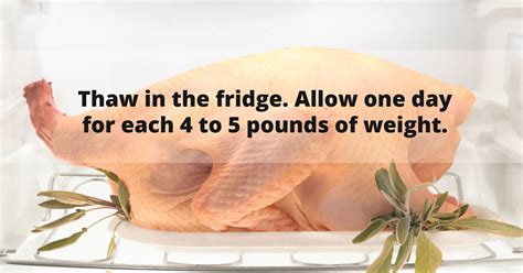 5 Tips For Cooking The Turkey Safely