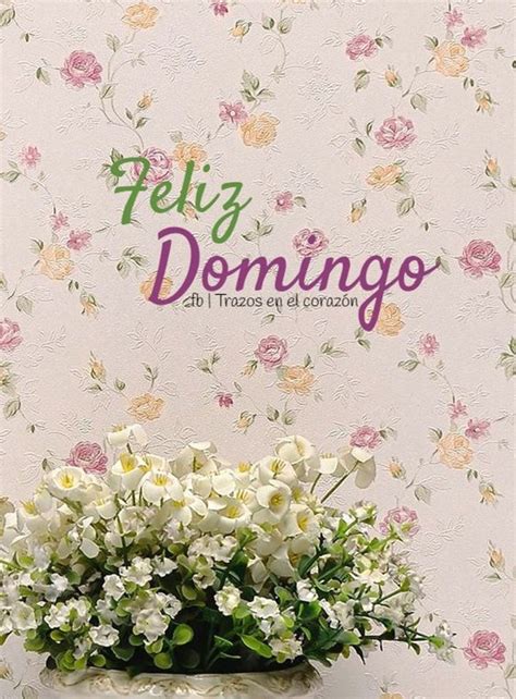 Imágenes Lindas De Feliz Domingo Para Whatsapp Página 5 De 10