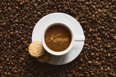 Kenya Coffee: A Deep Dive To Its History, Brewing and More - Craft ...