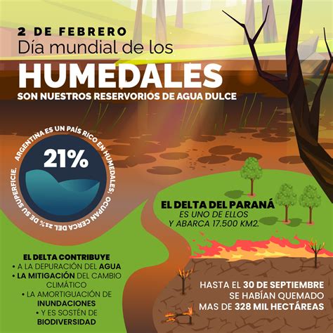 Día Mundial De Los Humedales Este 2 De Febrero Se Denuncian Delitos