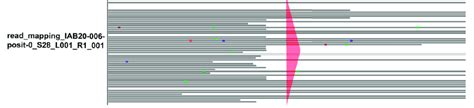 Variants On Control Samples Using The Integrative Genomics Viewer Ten