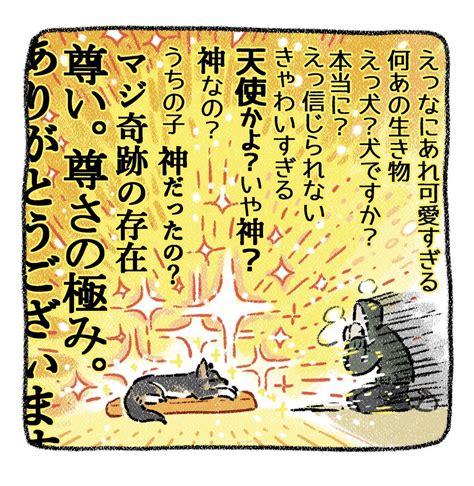 ヨシモフ郎 On Twitter 【この現象に名前が欲しい】推し犬との暮らしは毎日心が満たされてるし脳内オキシトシン溢れまくってるけど時折