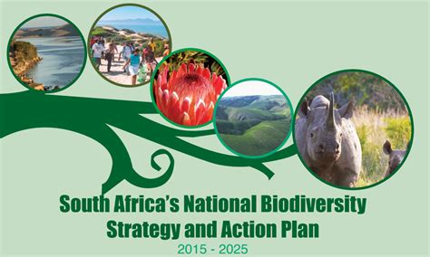 Biodiversity Action Plan How To Plan