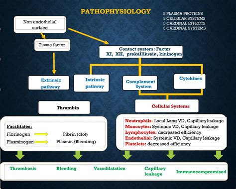 Three-Minute Review: Essentials of Cardiopulmonary Bypass | CTSNet