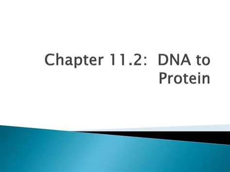 Ppt Chapter 112 Dna To Protein Powerpoint Presentation Free Download Id5779280