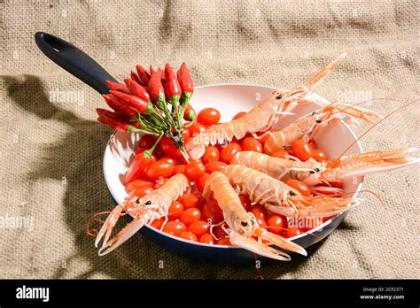 Mediterranean Shellfish For Special Preparation Stock Photo Alamy