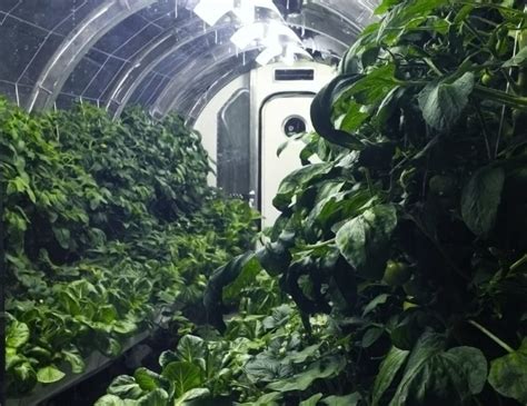 NASA unveils inflatable greenhouse for sustainable farming on Mars ...