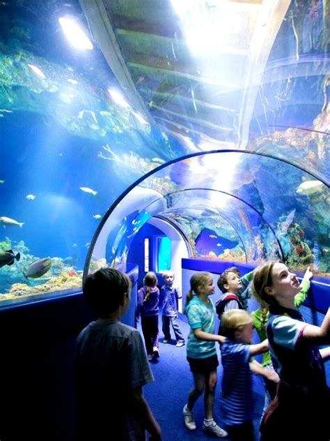 Antalya Aquarium Tour From Alanya Tickets Hotel Transfer