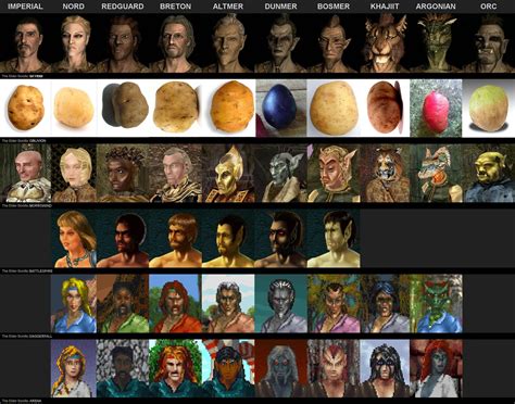 The Evolution of all races in The Elder Scrolls series. : r/gaming