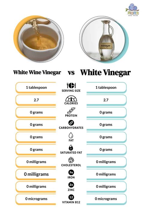 White Wine Vinegar Vs White Vinegar Two Differences When To Use Each