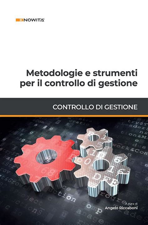 Metodologie E Strumenti Per Il Controllo Di Gestione Angelo Riccaboni