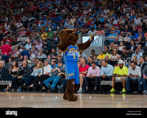 Ucla mascot hi-res stock photography and images - Alamy