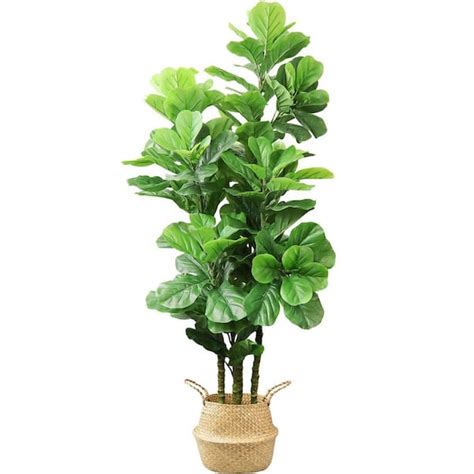 Homlux 72 In Tropical Faux Artificial Fiddle Fig Tree Plants With 131