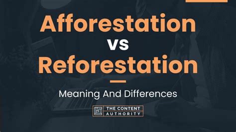 Afforestation vs Reforestation: Meaning And Differences