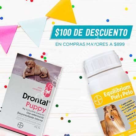 Código Pet N Go de 100 de descuento en productos Bayer y Bravecto