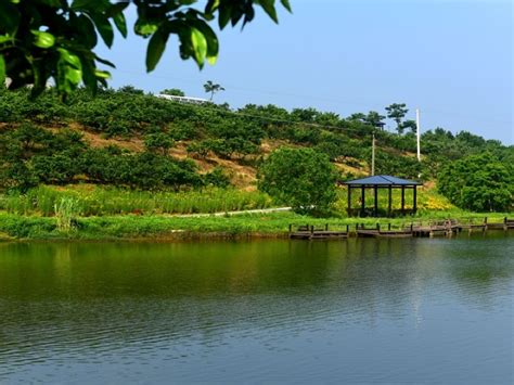 松滋洈水景区攻略 洈水景区门票价格多少钱 团购票价预定优惠 景点地址图片 【携程攻略】