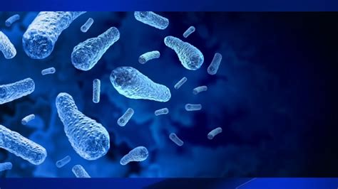 Fresno County Health Officials Investigating Suspected Botulism Outbreak Abc30 Fresno