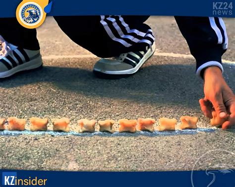 Асык ату: история, правила и виды древней казахской игры кочевников