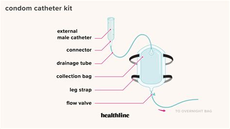 French Catheter Size Chart - Ponasa