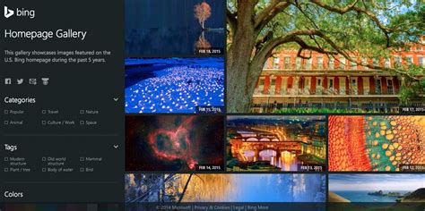 Bing Homepage Gallery Live Wallpaper