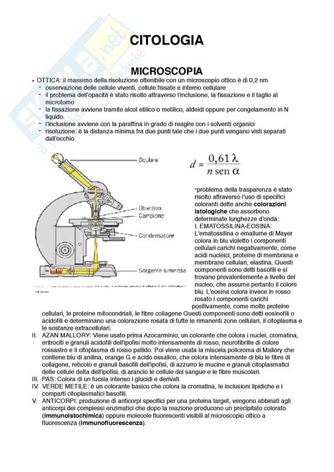 Citologia E Immagini Appunti Di Citologia