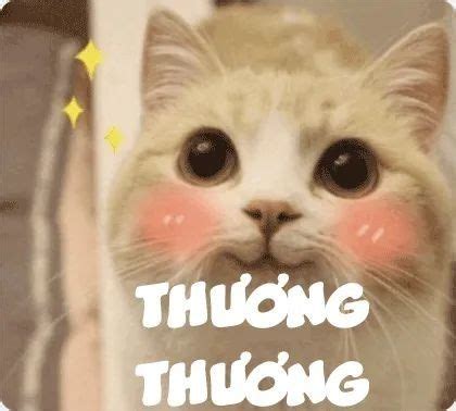 Pin on Lưu nhanh in 2024 Funny memes Cute animals Memes