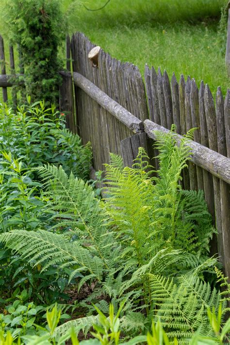 Historic Village Garden Free Stock Photo Public Domain Pictures