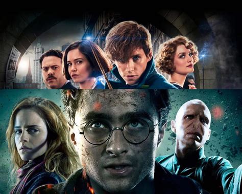 Animais Fantásticos Tem Relação Com Harry Potter Entenda