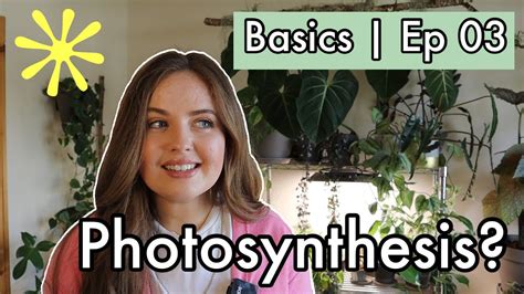 Plant Basics Episode 03 How Plants Use Light Youtube