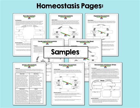 Skills Extensions for Anatomy Lessons - Suburban Science - Worksheets ...