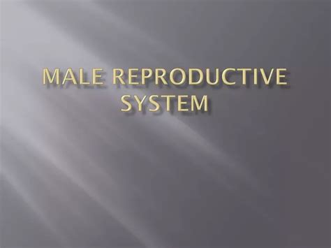 Ppt Male Reproductive System Powerpoint Presentation Free Download