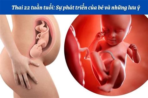 Tìm hiểu thai đạp bụng dưới ảnh hưởng đến sức khỏe mẹ và thai