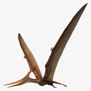 Pterosaurs Png Transparent Picture Pterosaurio Png Transparent PNG