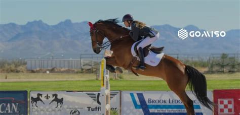 Horse Shows On Netflix Saddle Up For Thrills Gomiso