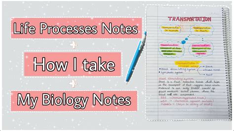 Tips To Take Biology Notes Effectively Life Process Handwritten Notes