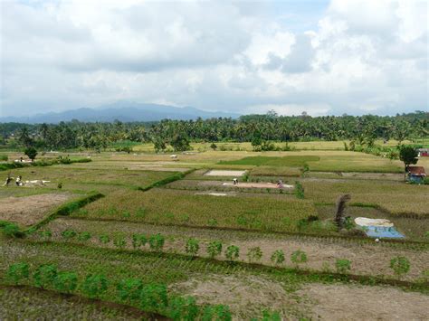 Elevation of Ciamis, Ciamis Regency, West Java, Indonesia - Topographic Map - Altitude Map