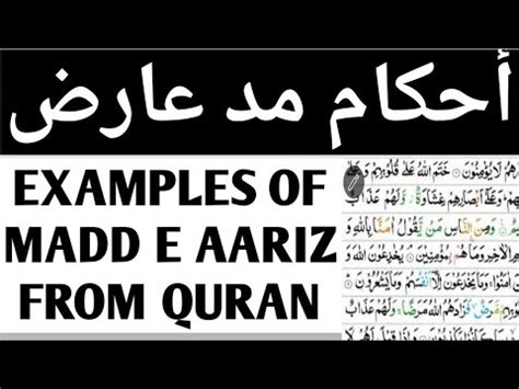 MADD MAD E AARIZ TYPES OF MADD MADDAH MADDAH IN TAJWEED MADD AARIZ