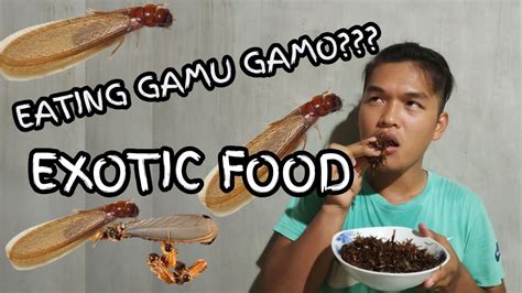 Eating FLYING TERMITE (Gamu-Gamo)!!! Masarap promise! - YouTube