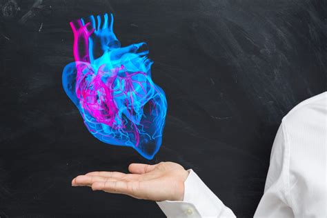 Malattie Cardiovascolari Patologie Che Mietono Milioni Di Vittime