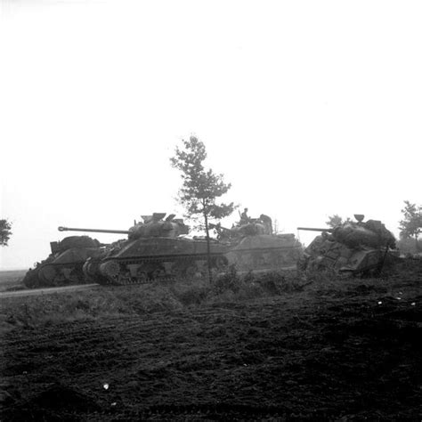 A Sherman Firefly Tank Of The Irish Guards Group Advances Past Sherman