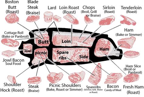 Pork Meat Cuts Diagram Pork Cuts For Grilling Grillocrac