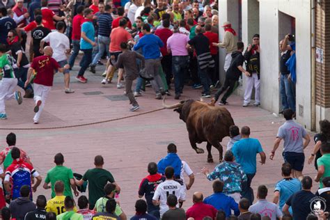 Festejos taurinos de nuestros pueblos en agosto Federación Española