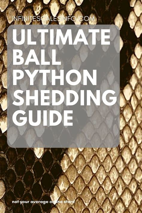 Ultimate Ball Python Shedding Guide | Everything you need to know ...