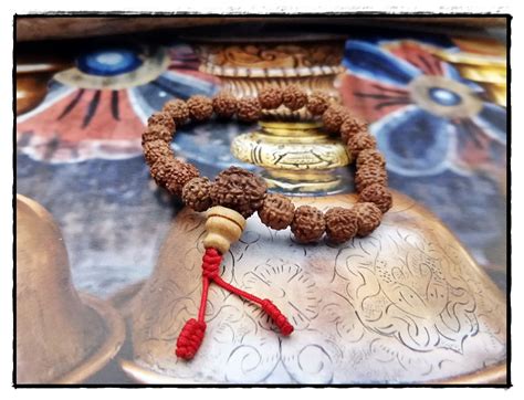 Mala Armband Aus Rudraksha Samen Himalife De