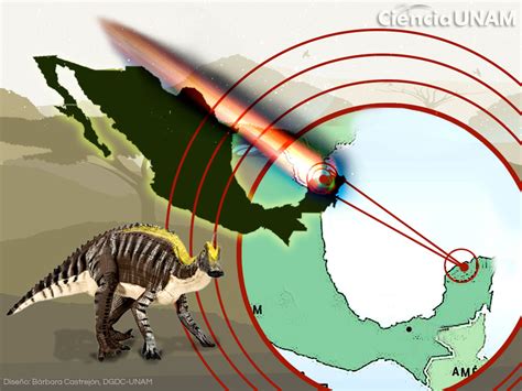 Rápida Recuperación De La Vida En El Cráter De Chicxulub Ciencia Unam