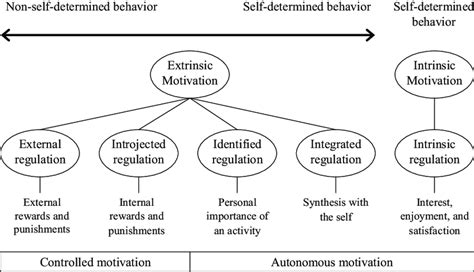 Ryan And Decis Types Of Motivation Source Van Beek Ilona Toon W