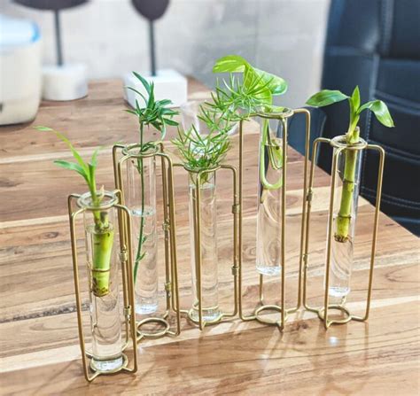 Morii Exclusive Test Tube Planter Glass Test Tube Set Of Test