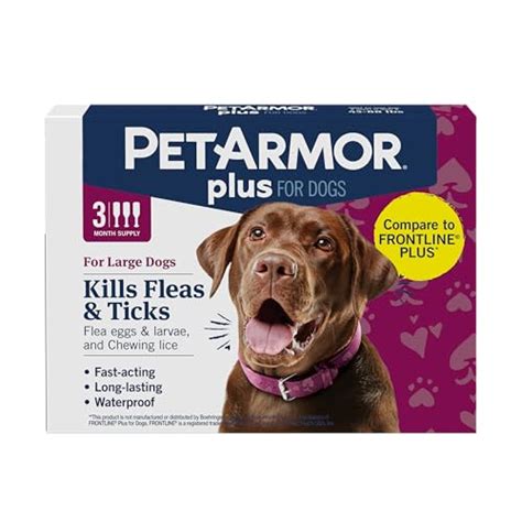 dog flea  tick prevention methods  healthy pets totally